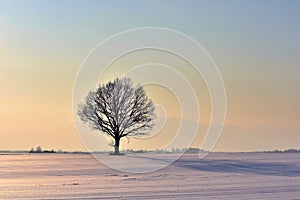 Cold and sunny winter day in Lithuania