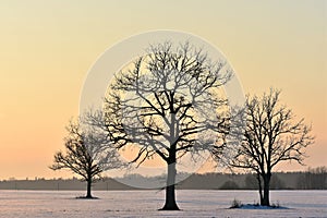 Cold and sunny winter day in Lithuania