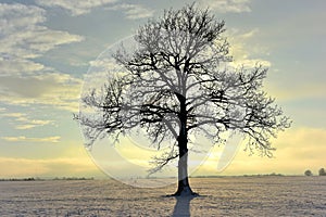 Cold sunny winter day in Lithuania