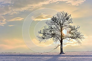 Cold sunny winter day in Lithuania