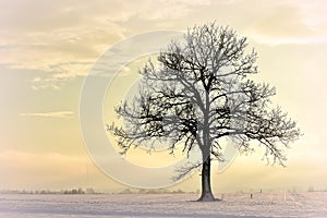 Cold sunny winter day in Lithuania