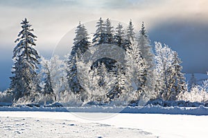 Cold sunny winter morning at the Lake Weissensee