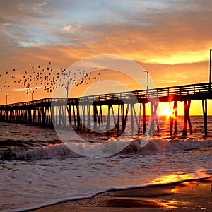 A cold sunrise, to become day, as birds amuse along the pier at Virginia beach.