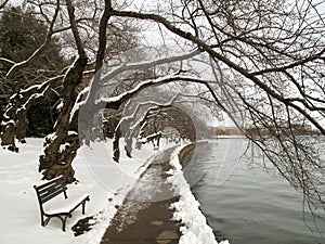 Cold Tidal Basin