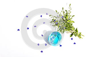 Cold tonic water and blue forget me not flowers bouquet on trendy stand isolated on white background