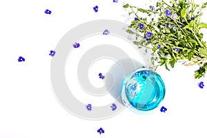 Cold tonic water and blue forget me not flowers bouquet on trendy stand isolated on white background