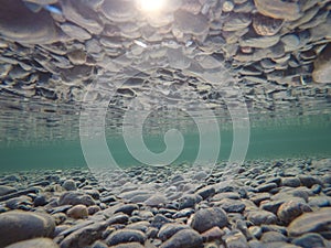 Cold underwater river bed with perfect reflection on surface tension