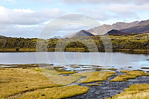 Cold water in Iceland. Stream in rocky mountains and lake side.