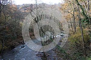 Beautiful view of long tail river inside the forest