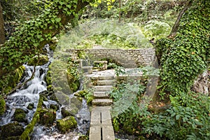 The Cold Water spring of Tepelena City