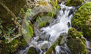 The Cold Water spring of Tepelena City