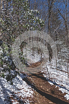 Cold Weather Hiking the Appalachian Trail in Georgia