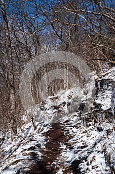 Cold Weather Hiking the Appalachian Trail in Georgia