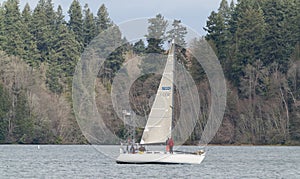 Sailing In Winter On Budd Inlet, Puget Sound, Olympia Washington