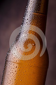 Cold wet beer bottle detail