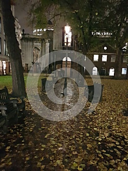 This cold and wet London evening in Grey Friars park covered with autumn leaves yellow in the churchs& x27; lights