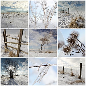 Cold winter collage