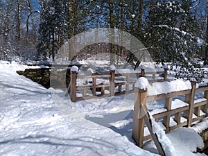 Cold winter day at the park