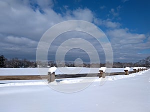 Cold winter day at the park