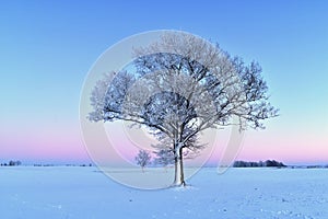 Cold winter evening in Lithuania.