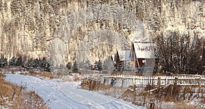 Cold winter forest landscape snow