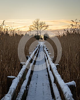 Cold winter lake kanieris sunset