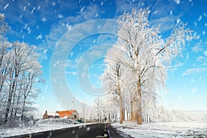Cold winter landscape in the Netherlands with a road and meadows agriculture during winter Flevoland Noordoostpolder
