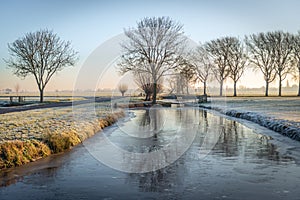 Cold winter morning in a Dutch polder