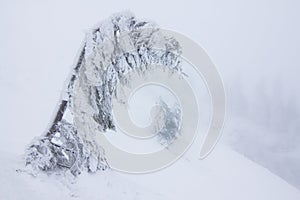 Cold winter morning. From the lawn, a panoramic view of the covered with frost trees in the snowdrifts, high mountain