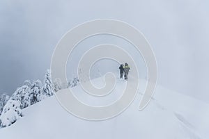 Cold winter morning in mountain foresty with snow covered fir trees. tatras, slovakia.