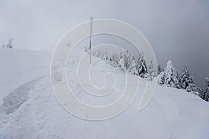 Cold winter morning in mountain foresty with snow covered fir trees. tatras, slovakia.