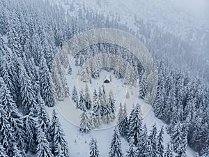 Studené zimné ráno v horských lesoch so zasneženými jedľami. Tatry, slovensko. Letecký pohľad. Chata sama v snehovom lese.