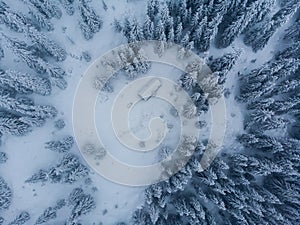 Cold winter morning in mountain foresty with snow covered fir trees. tatras, slovakia. Aerial view. Cabin alone in snow forest.