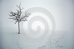 A cold winter's day in Bavaria