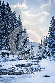 Frío la nieve sobre el un rio 