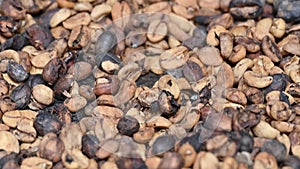 Coldbrew beans coffee during drying on fabric.