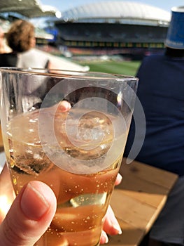 ColdCider 5seeds Cricket Oval Hot