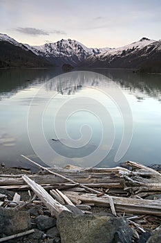 Logs Shore Coldwater Lake Mountains Cascade Range photo