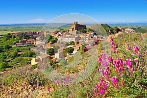 Colegiata de Bolea, Aragon photo