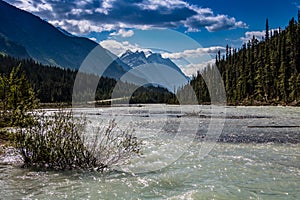 Coleman Creek rambles through the back country. Banff National Park Alberta Canada photo