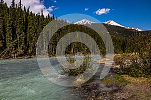 Coleman Creek rambles through the back country. Banff National Park Alberta Canada photo