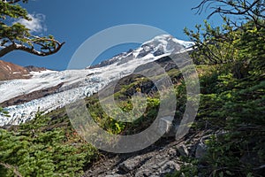 Coleman and Roosevelt Glaciers of Mount Baker from Hogsback trail