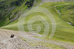 Colesdale Hause from Hopegill Head, Lake District, Cumbria, UK