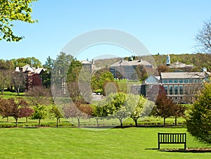 Colgate university