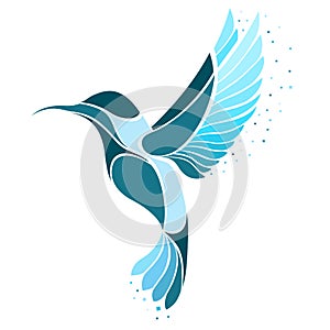 Colibri Bird logo. Vector illustration of exotic flying Hummingbird isolated on white background