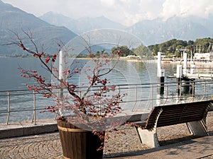 Colico italy lake como photo