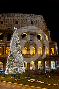 Coliseum and Christmas Tree