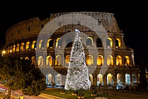 Coliseum and Christmas Tree