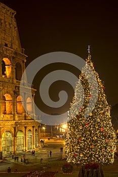 The Coliseum and the Christmas tree in Rome, Italy