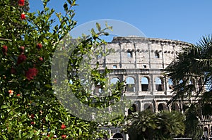 Coliseum during the day